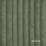 Tilia - 37